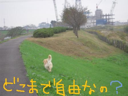 f0176830_1845972.jpg