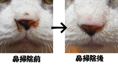 f0008935_22181592.gif