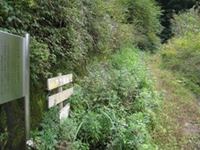 c0077338_6385087.jpg