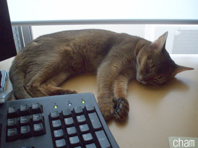 c0132438_23223378.jpg