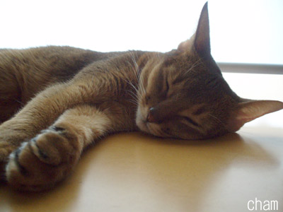 c0132438_23231100.jpg