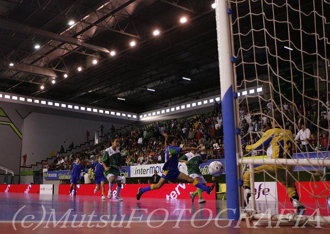 a0021939_962529.jpg