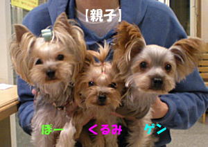 b0001440_20504331.jpg