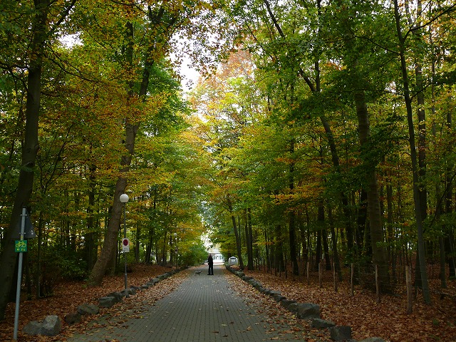 c0153740_22321659.jpg