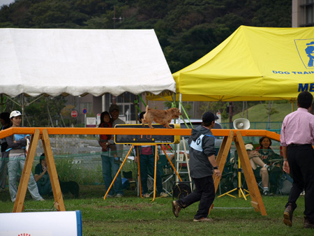 c0119742_22385165.jpg