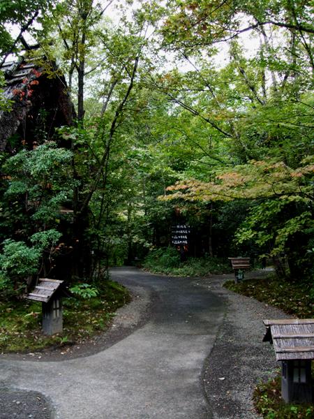d0023346_1115017.jpg