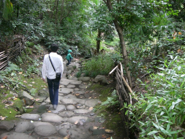 e0105846_10495545.jpg