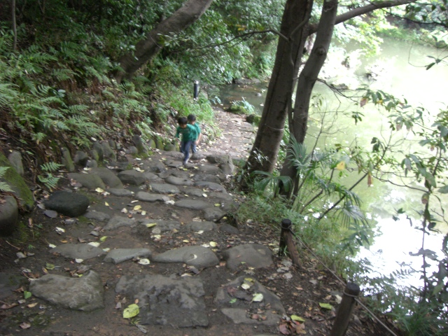 e0105846_10502694.jpg