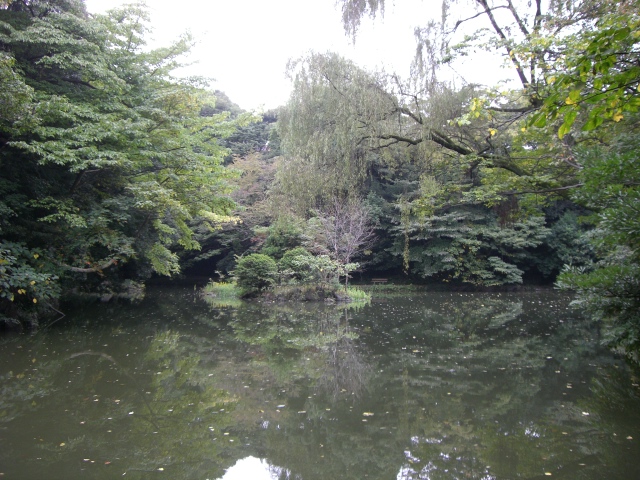 e0105846_1050392.jpg