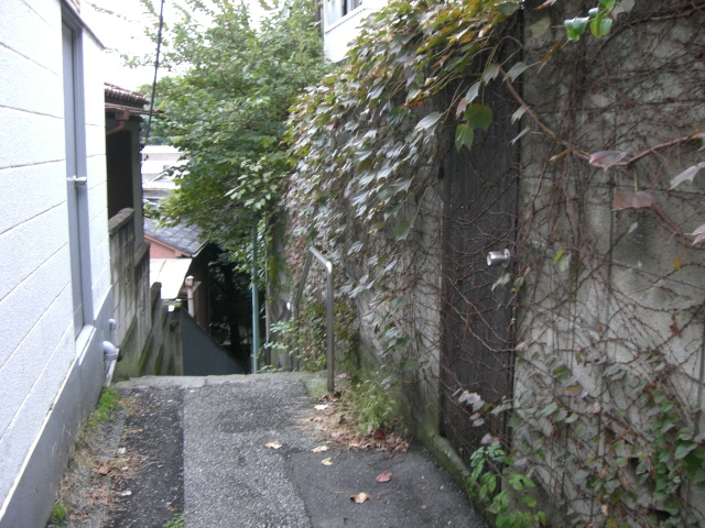 e0105846_11174544.jpg