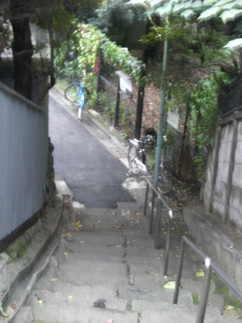 e0105846_1132563.jpg