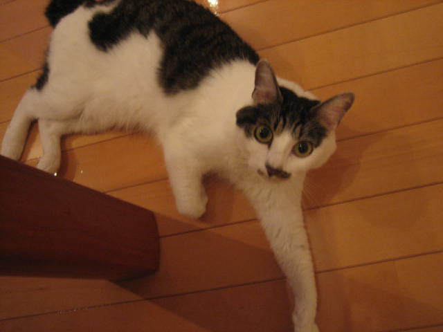 f0076952_2030475.jpg