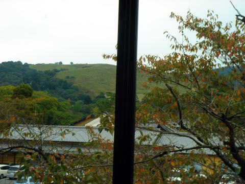 e0083155_13585991.jpg