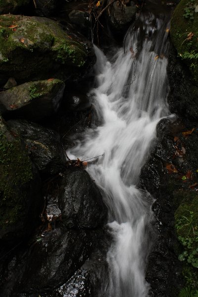d0152960_2025598.jpg