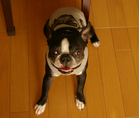 c0032567_20284766.jpg