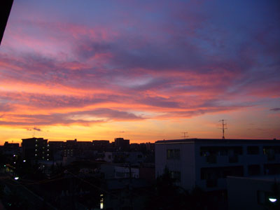 f0104079_5303074.jpg