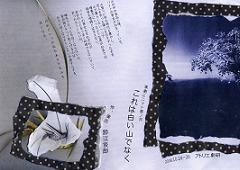 f0119179_1205056.jpg
