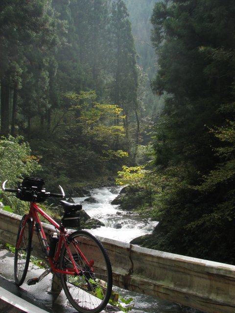 a0060882_833949.jpg