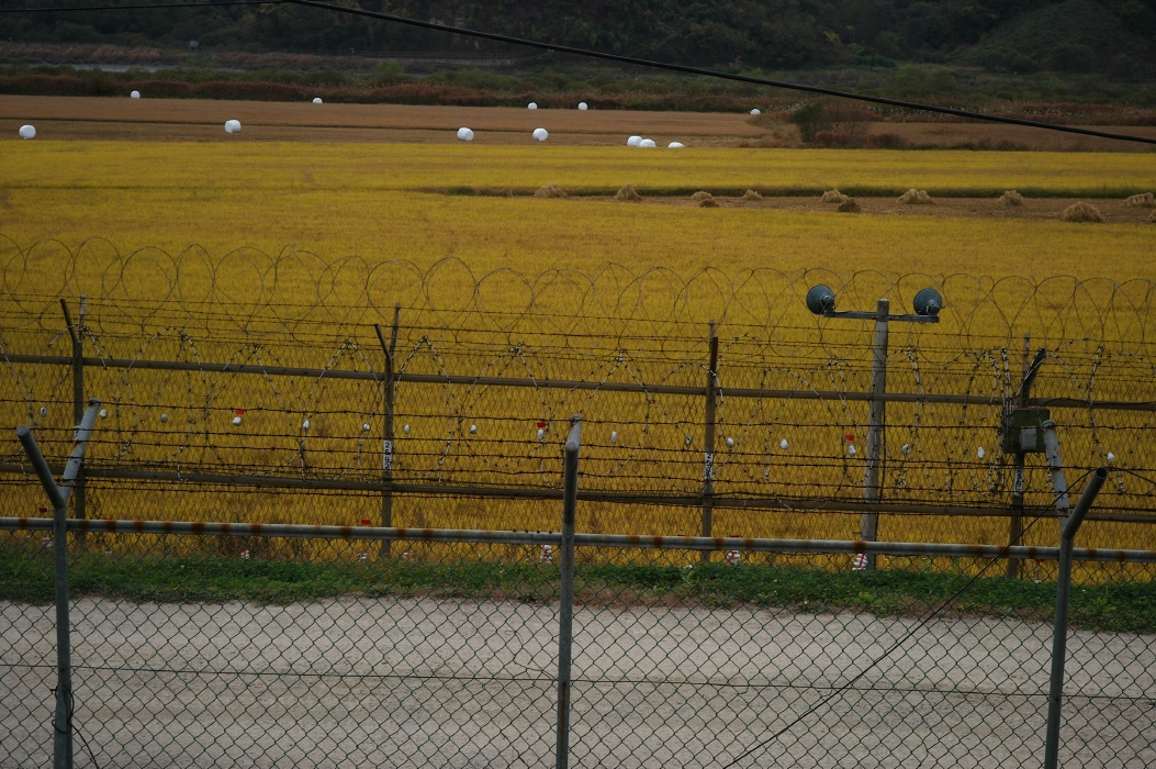 b0160184_22415189.jpg