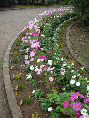 e0008586_2392086.jpg