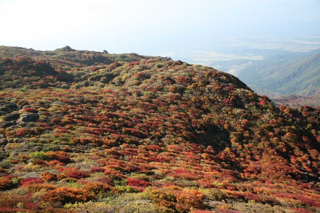 e0151486_2255410.jpg