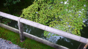 a0079292_1714926.jpg