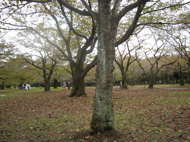 d0015894_0274551.jpg