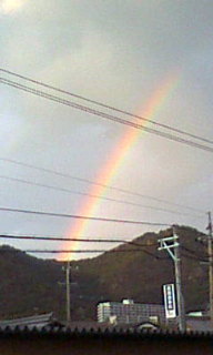 d0138900_1639251.jpg
