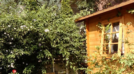 c0152002_21398100.jpg