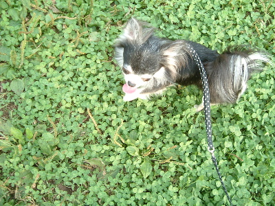 a0079803_041435.jpg