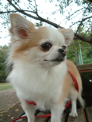 a0079803_0445713.jpg