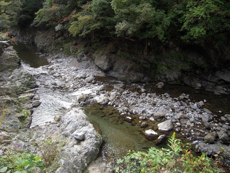 f0061705_2342619.jpg
