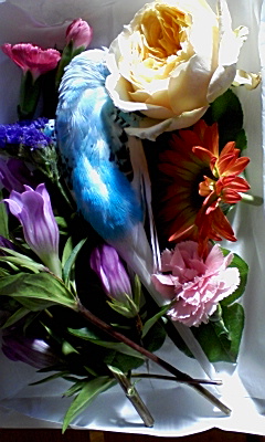 c0048207_8554076.jpg