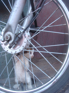 d0126508_1282042.jpg
