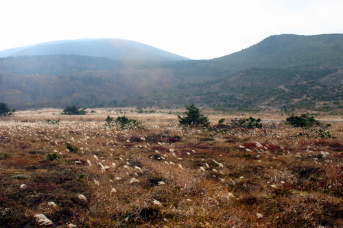 b0026110_2139287.jpg