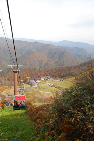 d0113613_1813474.jpg