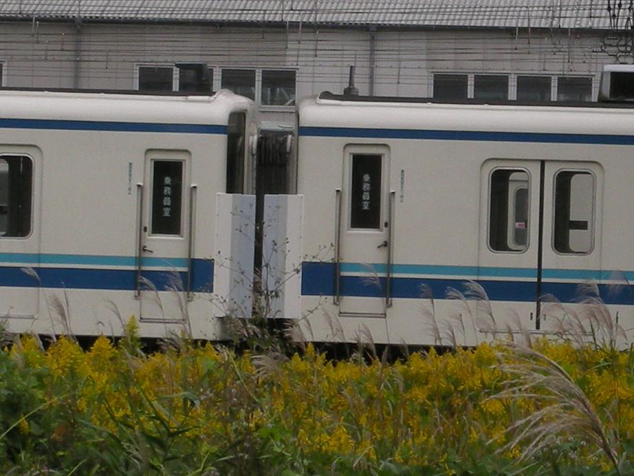 e0039316_1592670.jpg