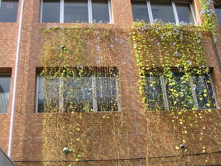 f0149420_16473683.jpg