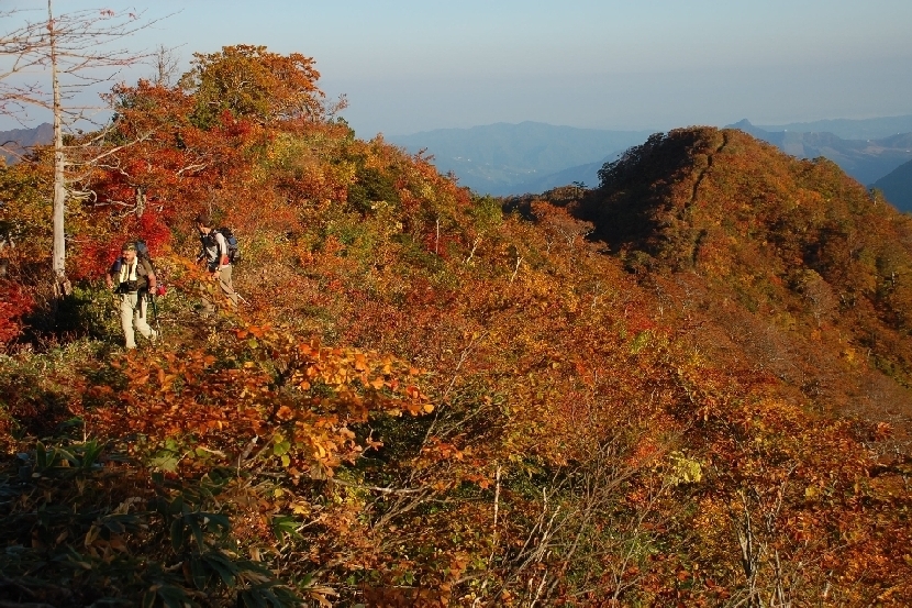 b0062024_2033248.jpg
