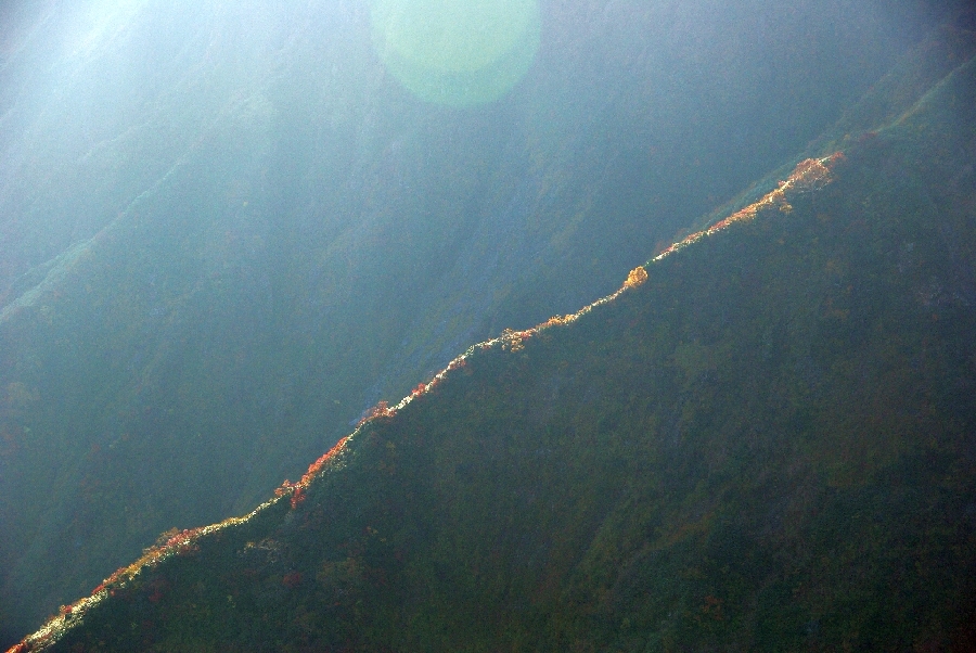 b0062024_2045442.jpg