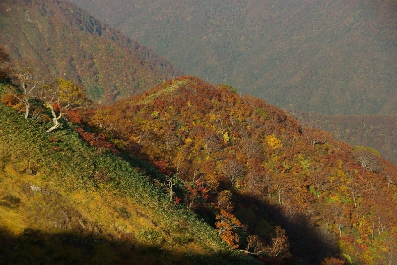 b0062024_2046167.jpg