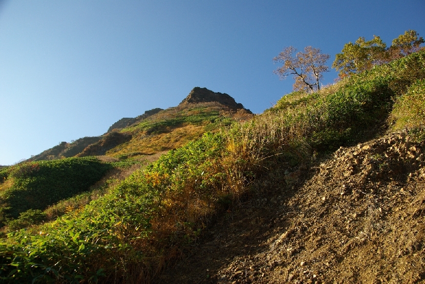 b0062024_20484998.jpg