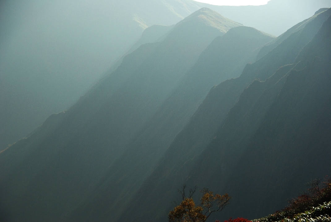b0062024_20524313.jpg
