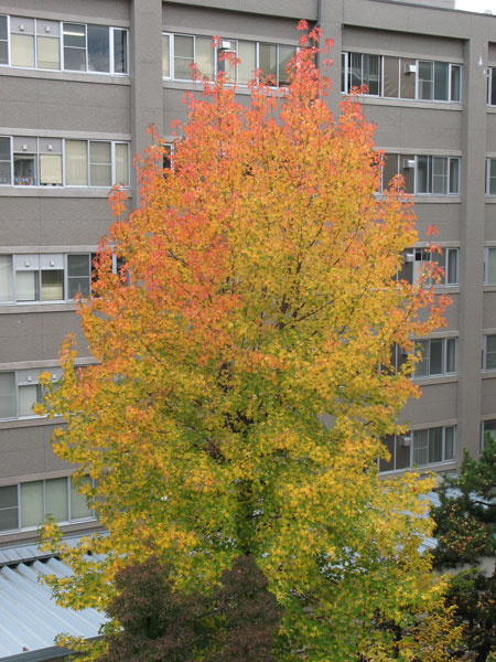 d0004426_12392270.jpg