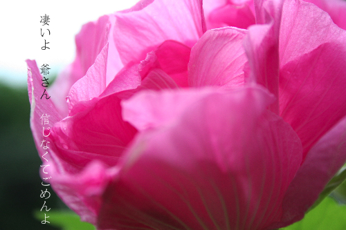d0042827_19192822.jpg