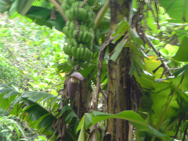 e0016828_2232503.jpg