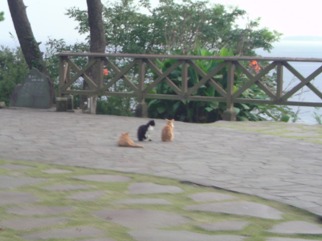 e0016828_2239843.jpg