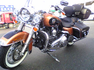 a0099129_207598.jpg