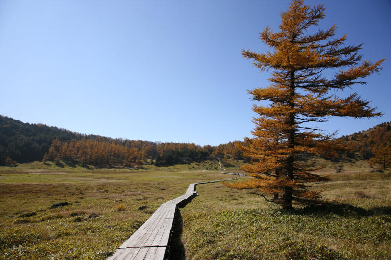 f0017530_20142755.jpg