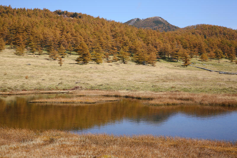 f0017530_20153219.jpg
